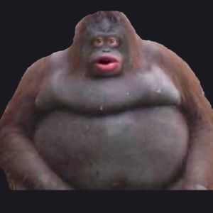 Meet your Posher, Gabrielle